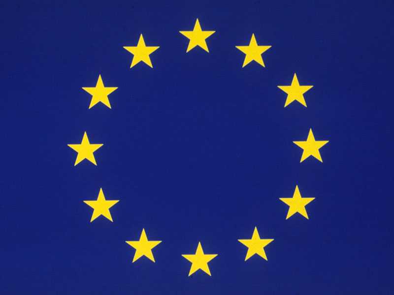 EU Logo